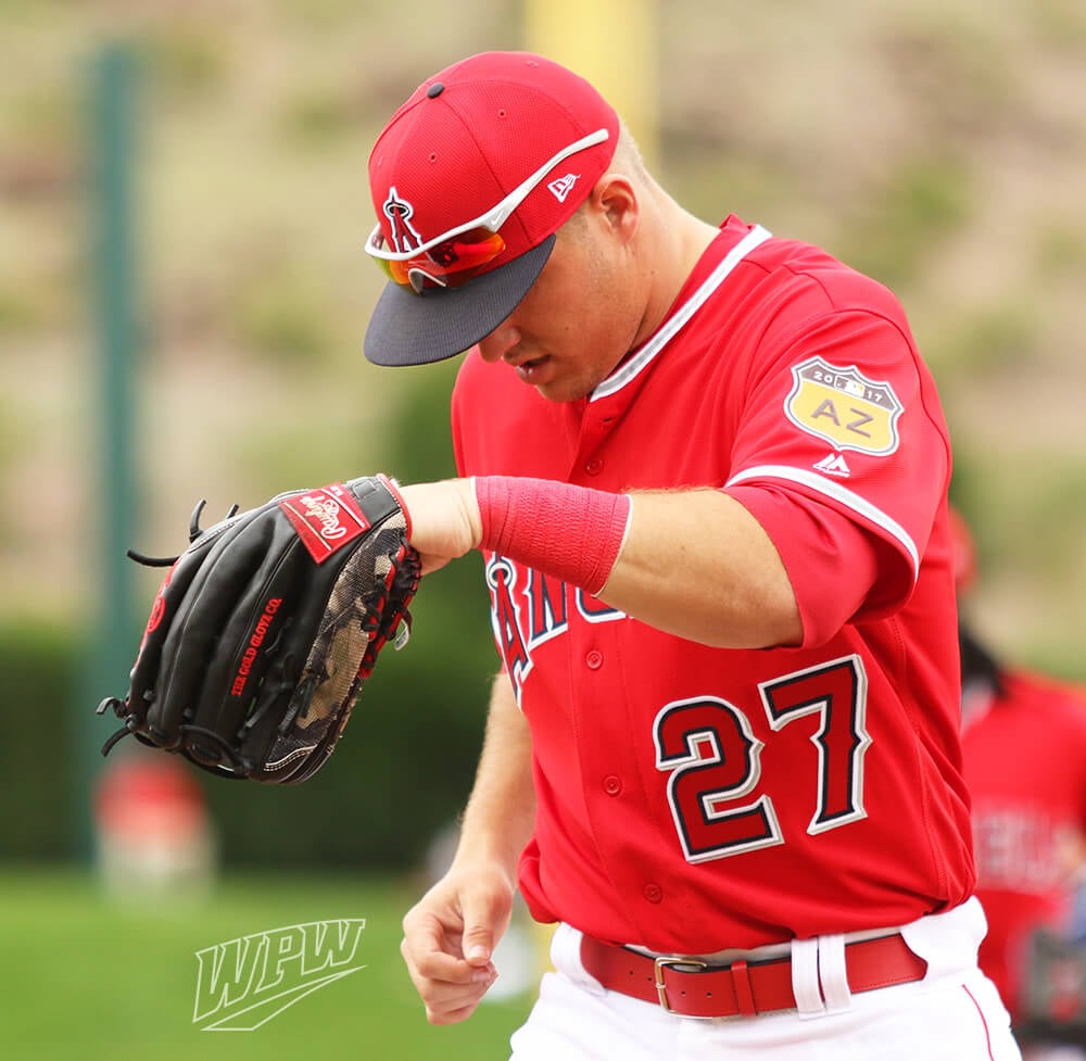 Mike Trout Rawlings Camo Glove