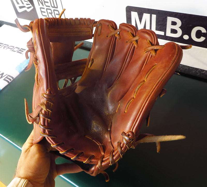 What Pros Wear Best Shortstop Gloves Swanson, Correa, Lindor