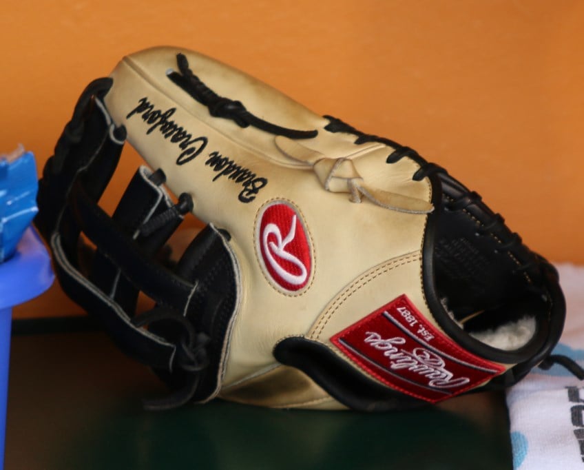 What Pros Wear Gold Glove Winners and the Gloves they Wear (National