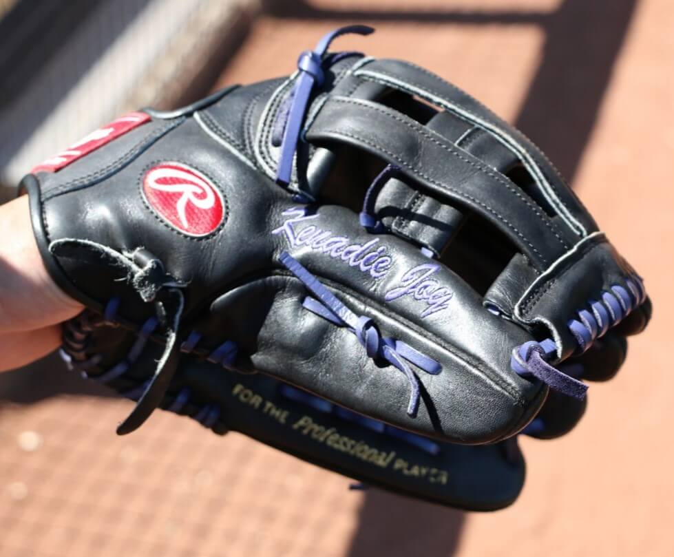 Brandon Barnes Rawlings Glove
