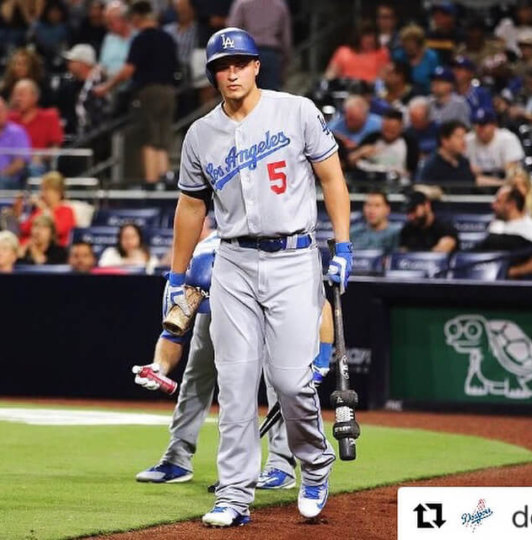 What Pros Wear Corey Seager S Rawlings Heart Of The Hide Pro200 6jb Glove